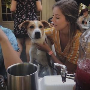 Meet your Posher, Kiersten